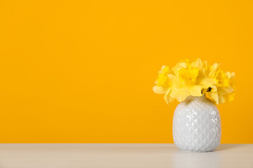Beautiful daffodils in vase on white table against yellow background. Space for text