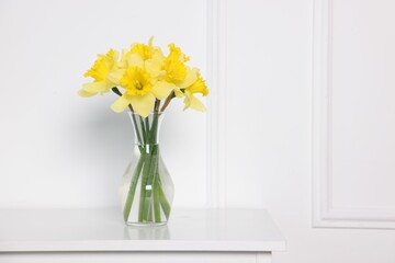 Beautiful daffodils in vase on cabinet near white wall at home. Space for text