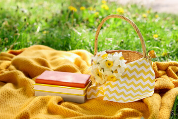 Stacked books, blanket and wicker basket with daffodil flowers on green grass outdoors