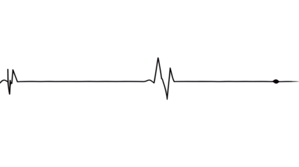 Transparent ECG Pulse Line Illustration – Flat Vector Heartbeat Symbol for Cardiologist Branding, Infographics, and Telehealth Apps