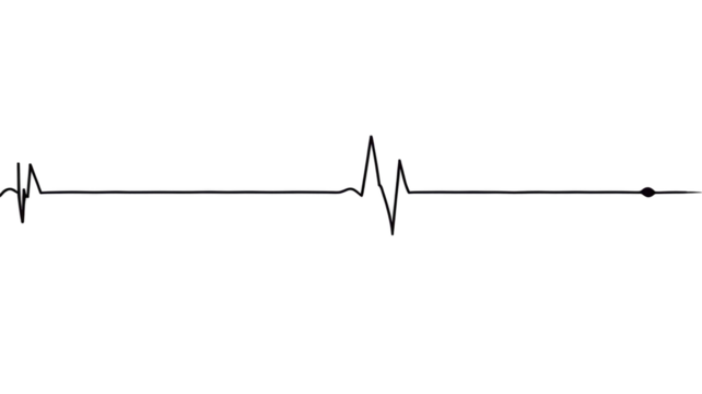 Transparent ECG Pulse Line Illustration – Flat Vector Heartbeat Symbol for Cardiologist Branding, Infographics, and Telehealth Apps