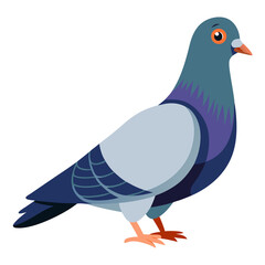 dove of peace  isolated on transparent background