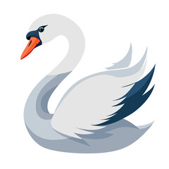 swan on the lake isolated on transparent background