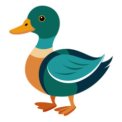 duck vector illustration isolated on transparent background