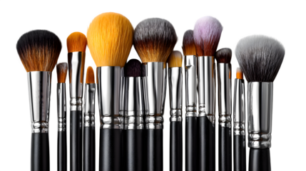 Fan layout of professional makeup brushes isolated on transparent background