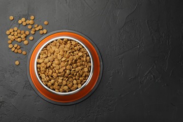 Dry pet food in feeding bowl on black textured background, top view. Space for text