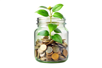 Jar of money plant economy green isolated on white background PNG