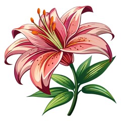 Illustration of a Stunning Pink Lily Flower with Green Leaves and Stem