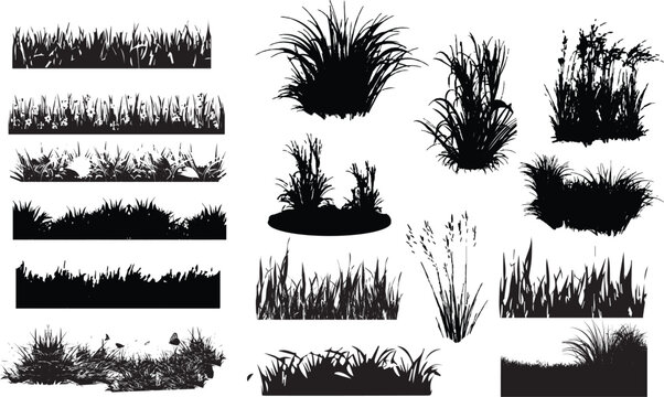 Set of grass with flowers and spikelet&rsquo;s, black silhouettes dividers, grassland field with tufts, lawn grass horizontal borders, meadow grass field vector set stock illustration