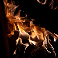 Nov Daily - travel to Boston