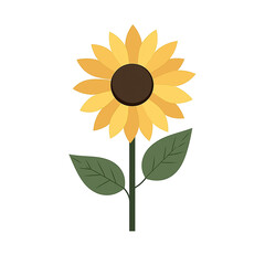 Fototapeta premium Beautiful sunflower in vibrant colors. PNG image, transparent background