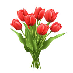 Obraz premium Colorful bouquet of red tulips in spring. PNG image, transparent background