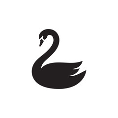Elegant Black Swan Silhouette