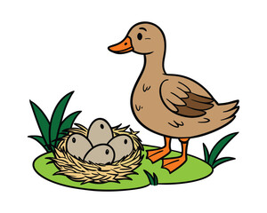 Duck with Nest and Eggs in Nature, Wildlife Illustration