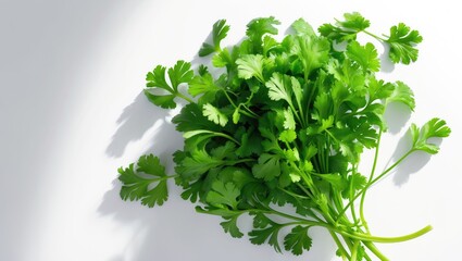 Obraz premium Overhead view of fresh coriander leaves set against a white background.