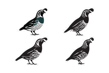 Quail Bird Silhouette Vector Collection