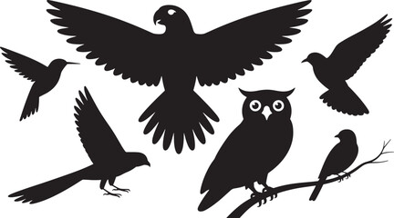 Black and White Bird Silhouettes Flying Perched and Standing on White Background