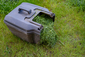Mowing grass with a petrol lawn mower in spring. container with the mown grass to it in the compost