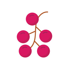 Redcurrant Vector icon