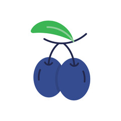 Plum Vector icon