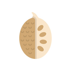 Jack Fruit Vector icon