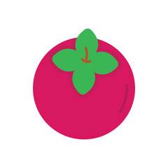 Persimmon Vector icon