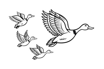 Illustration of Ducks in Flight Stylized Artwork of Flying Ducks