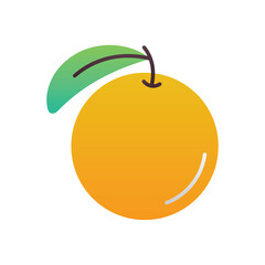 Orange Vector icon