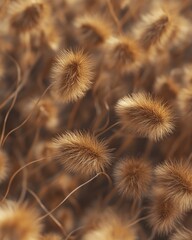 Obraz premium Grass seed heads diverse texture in highquality background image