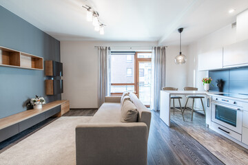 Modern Home Bright Open Concept Apartment Interior with Kitchen and Living Room