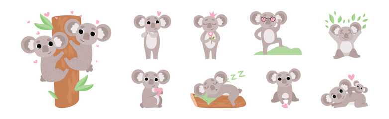 Adorable Koala Grey Animal in Various Actions Vector Set