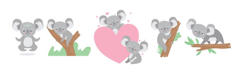 Adorable Koala Grey Animal in Various Actions Vector Set