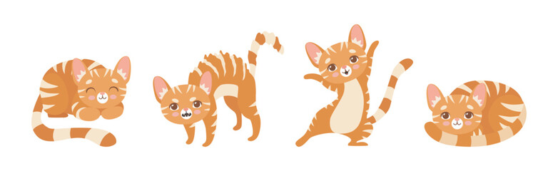 Cat Pet and Domestic Animal with Cute Snout Vector Set