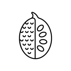 Jack Fruit Vector icon