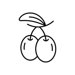 Plum Vector icon