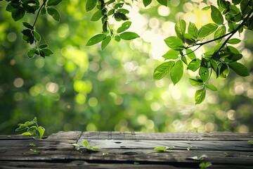 Rustic wooden surface with green foliage nature background and sunny bokeh effect
