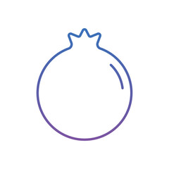 Pomegarante Vector icon