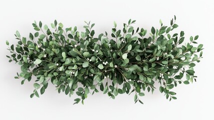 Obraz premium A horizontal garland of lush green leaves and small white berries creates a beautiful natural decorative element against a clean white backdrop.