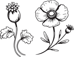 Vintage Botanical Flower Line Art – Hand-Drawn Black and White Vector Illustration