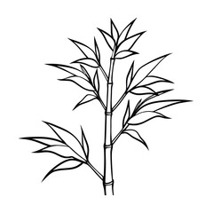 bamboo vector illustration