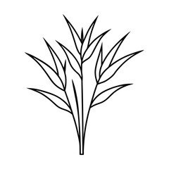 vector illustration of a plant