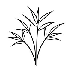 Fototapeta premium vector illustration of bamboo