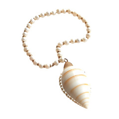 Elegant Minimalist Shell Necklace with a Refined Se Isolated on Transparent Background