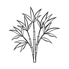 bamboo isolated on white background