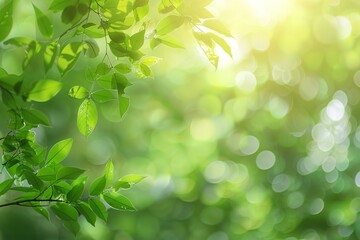 Sunlight filters through lush green leaves creating a bokeh background
