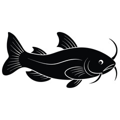 fish isolated on white background