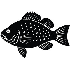 vector illustration of a fish