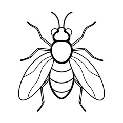 bee vector illustration
