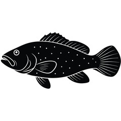 fish isolated on white background