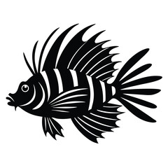 black and white fish